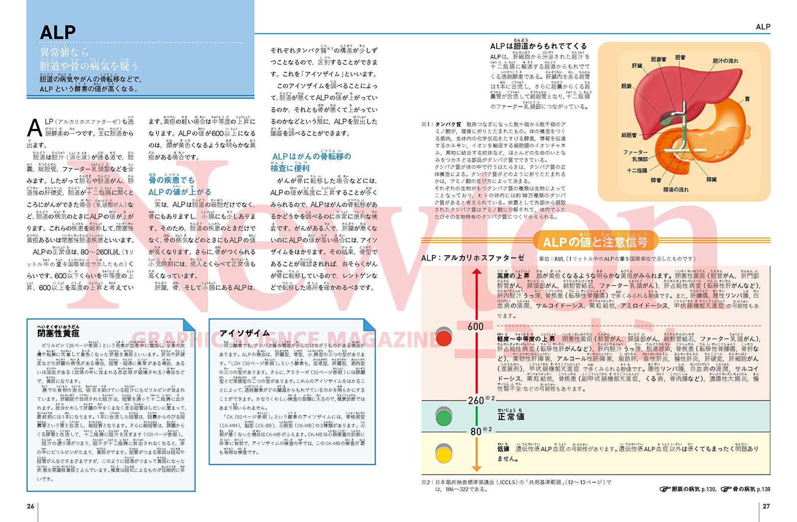 newtonB_Health Check_202401_No3_Part1.jpg
